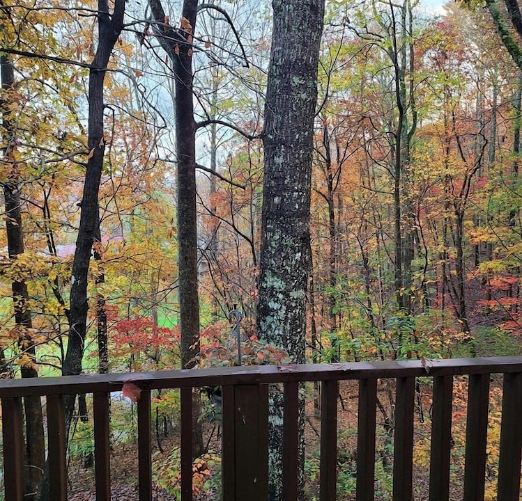 Photo of Patio Balcony in Lake Lure