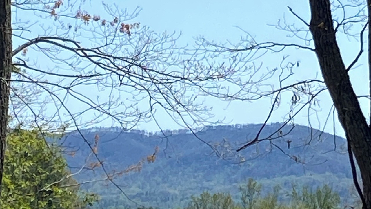Photo of Others in Royal Pines