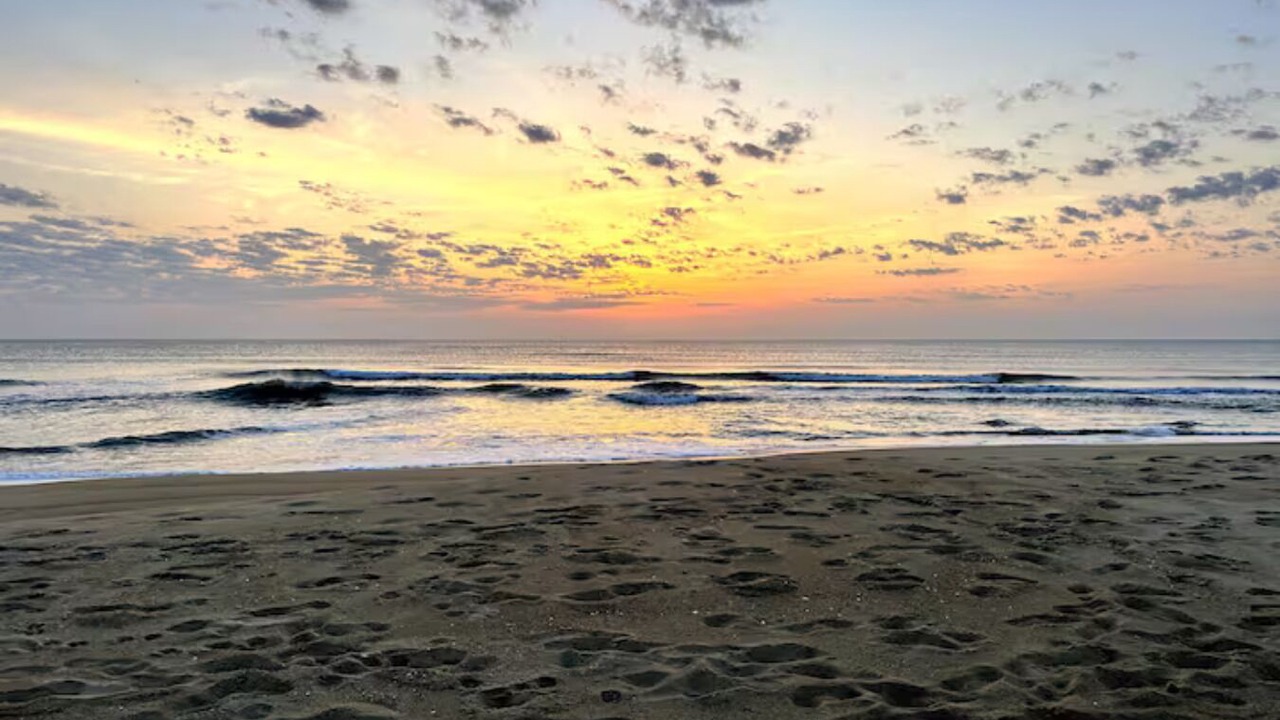 Photo of Others in Colington