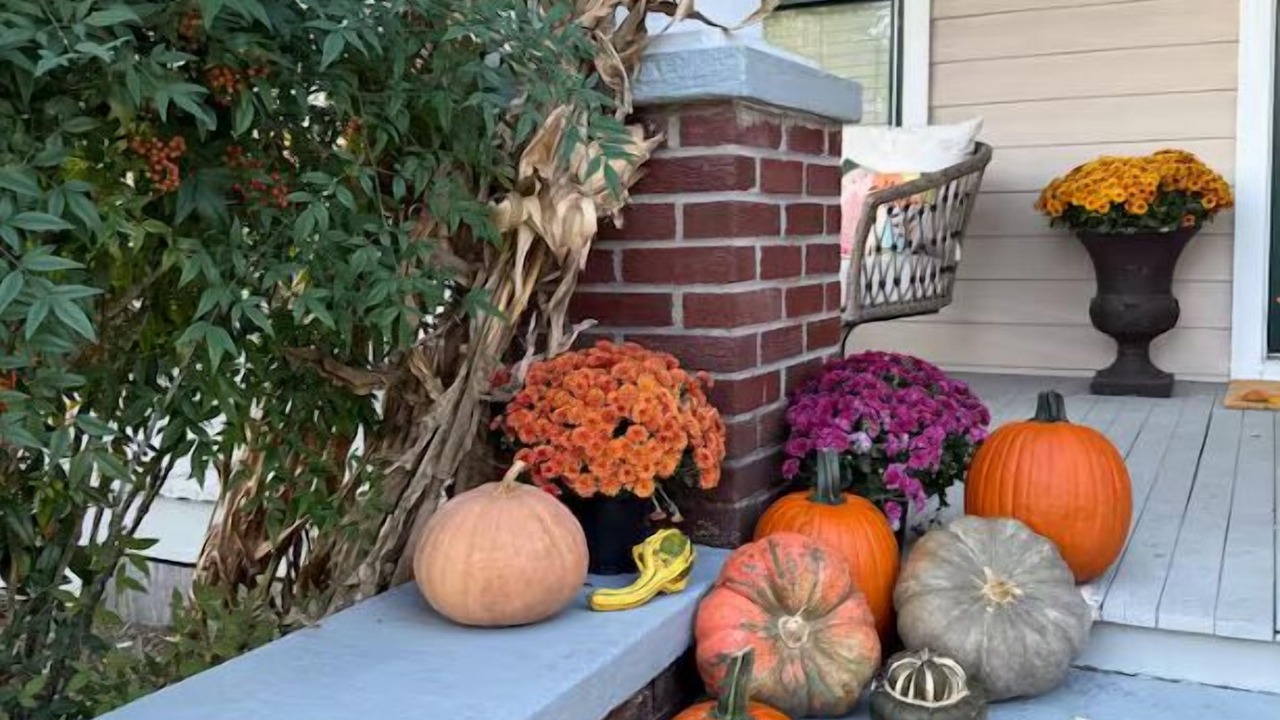 Photo of Outdoor in Manteo