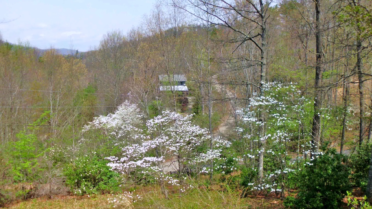 Photo of Outdoor in Canton