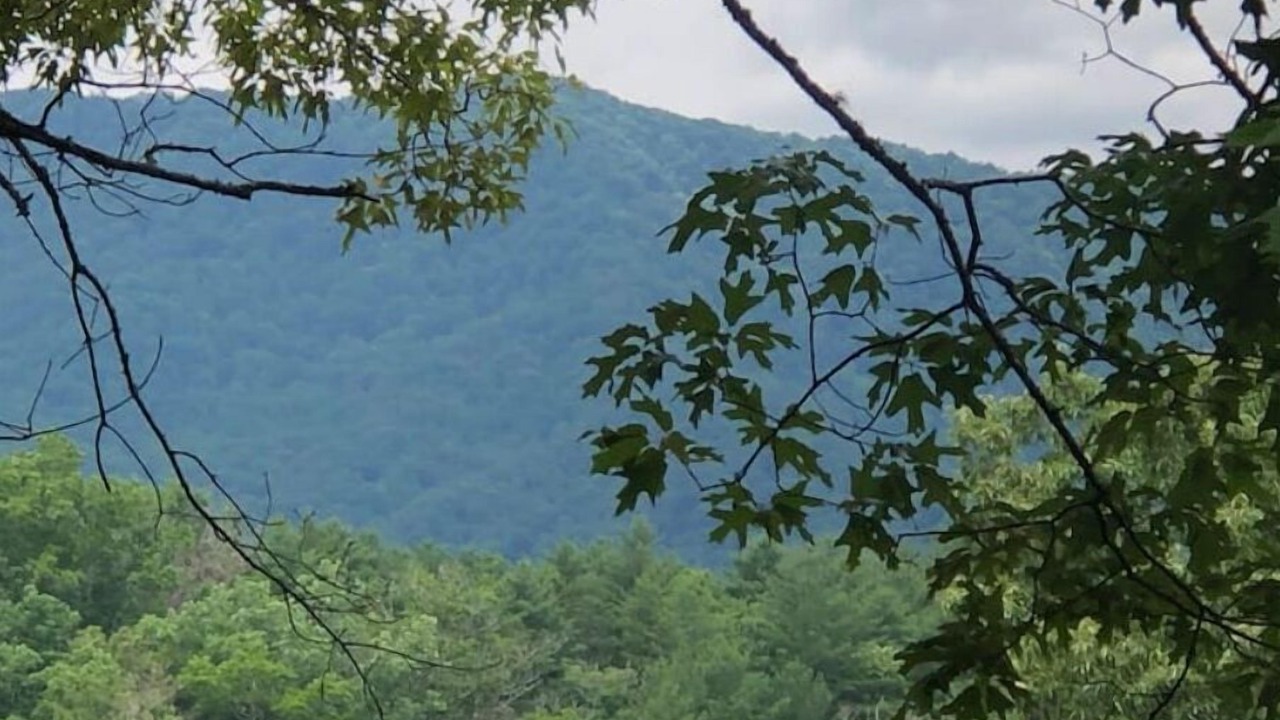 Photo of Outdoor in Robbinsville