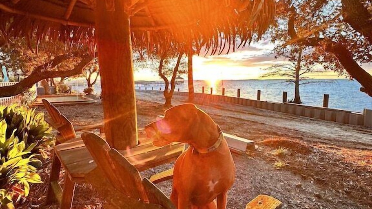 Photo of Outdoor in Corolla Light