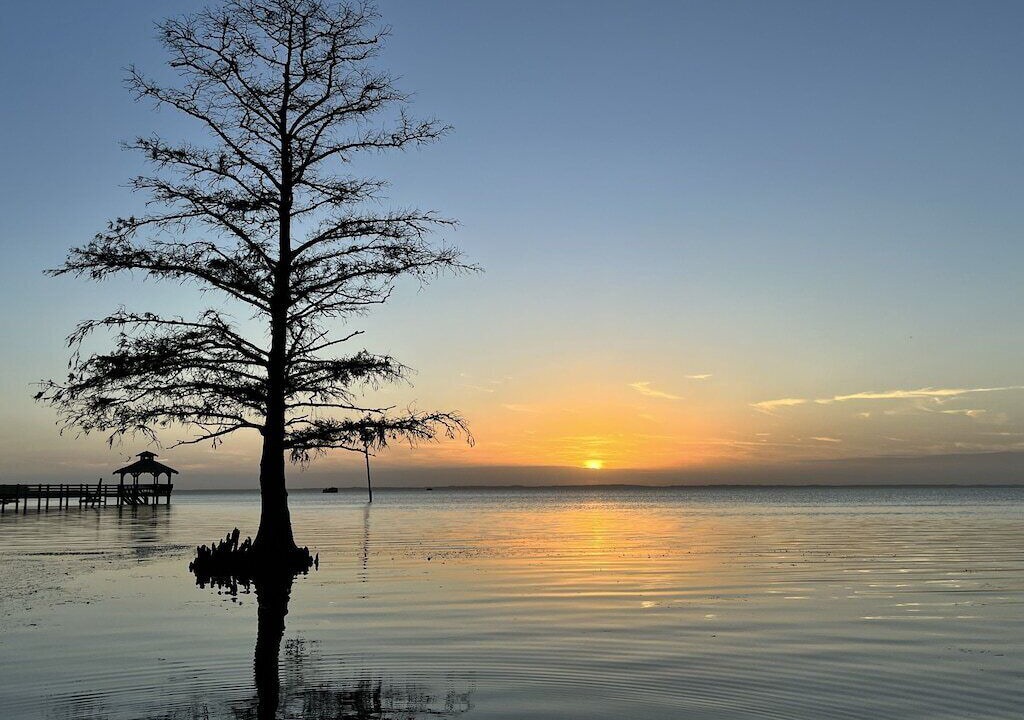 Photo of Others in Corolla Light