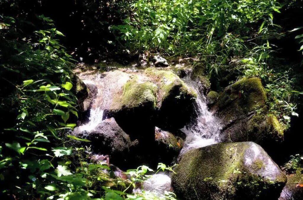 Photo of Others in Swannanoa