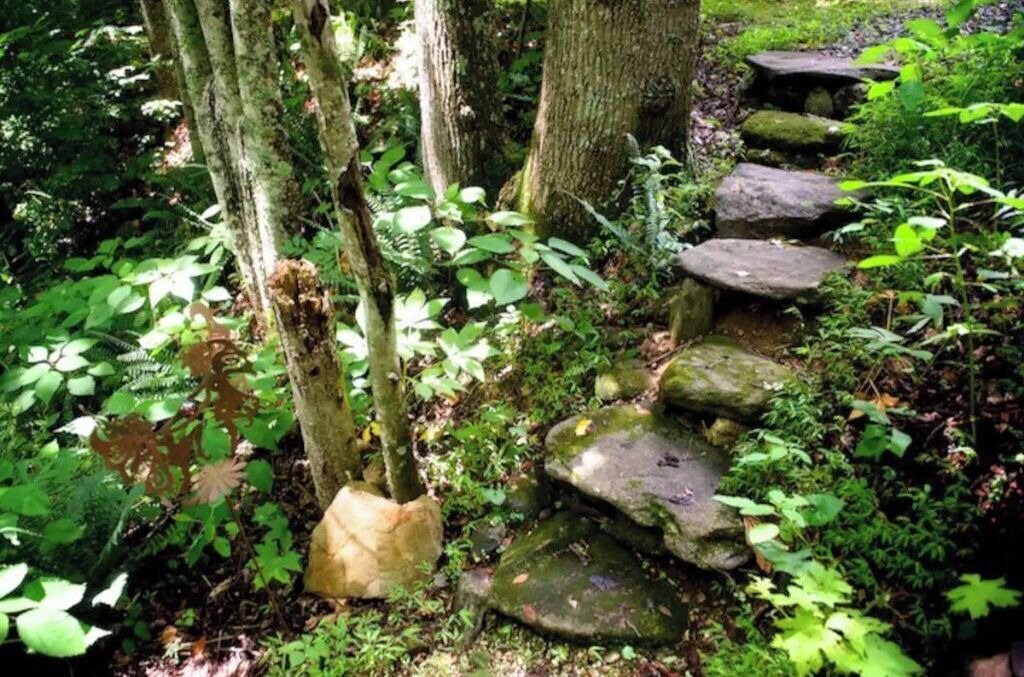 Photo of Outdoor in Swannanoa