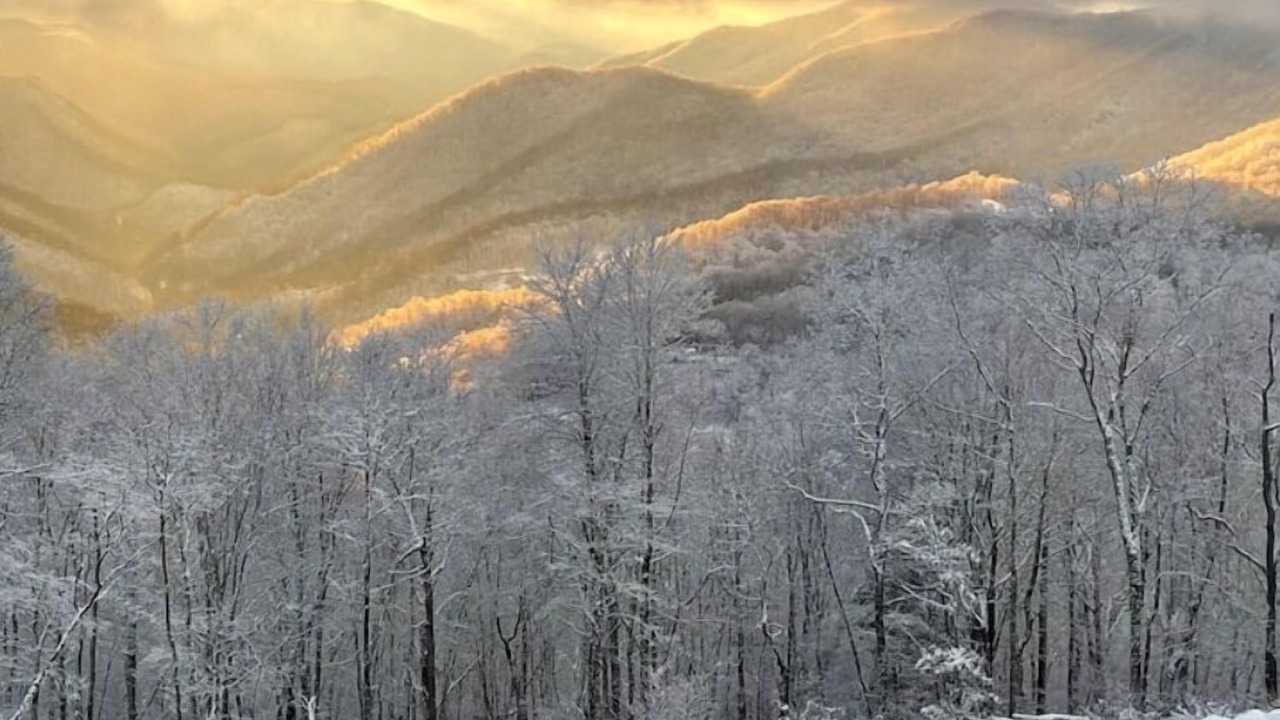 Photo of Others in Cherokee