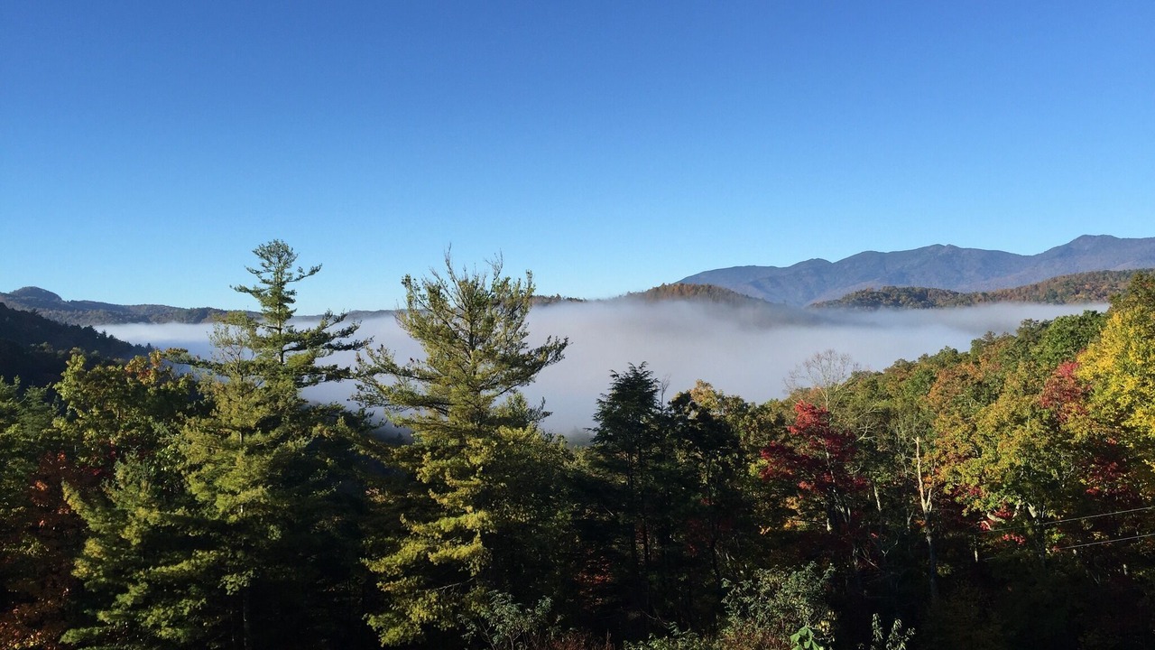 Photo of Others in Spruce Pine