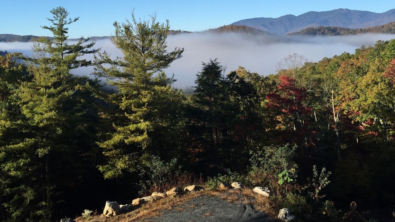 Photo of Outdoor in Spruce Pine