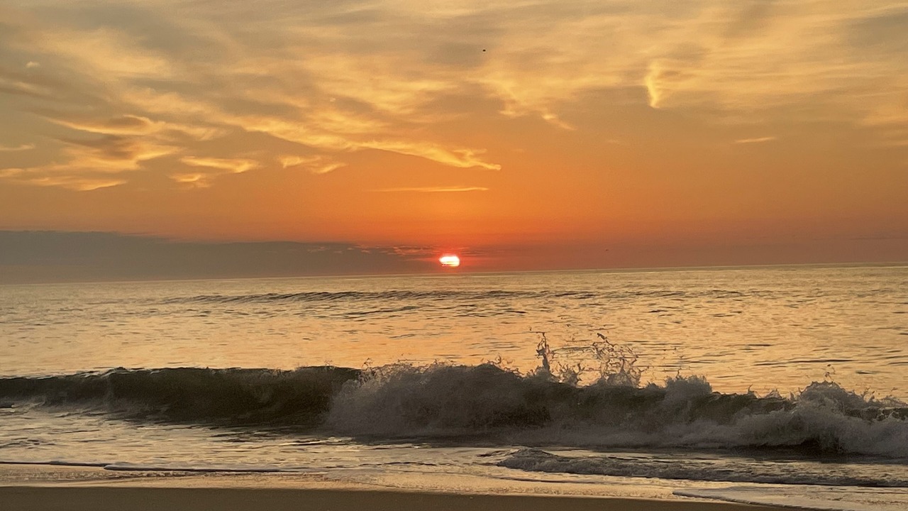 Photo of Others in Carolina Beach