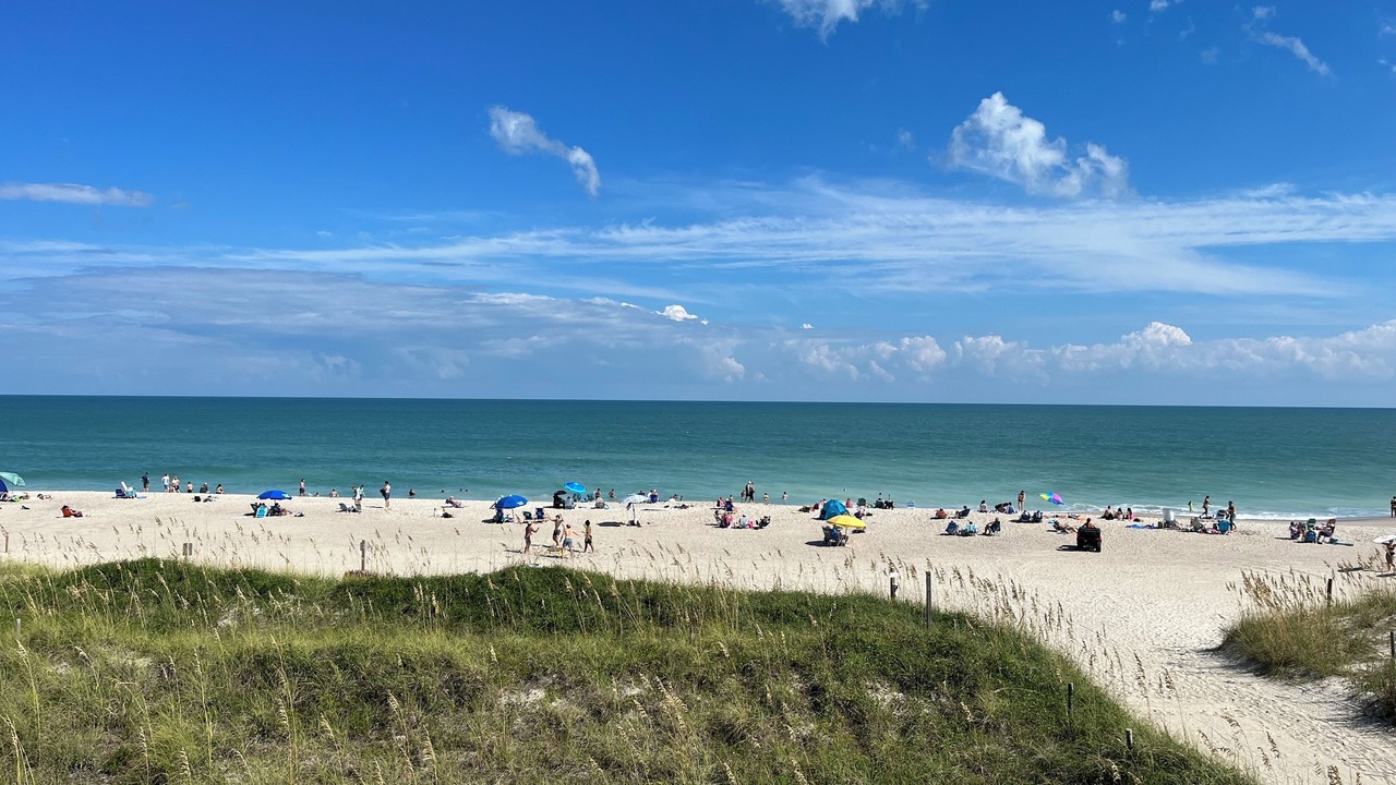 Photo of Others in Carolina Beach