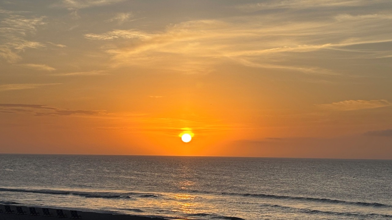 Photo of Others in Carolina Beach