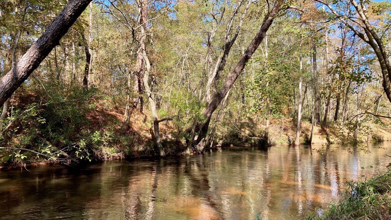 Photo of Others in South View