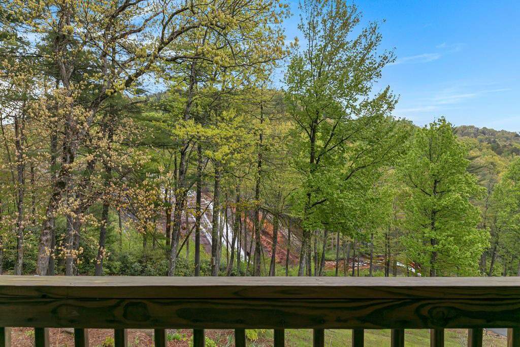 Photo of Outdoor in Lake Toxaway