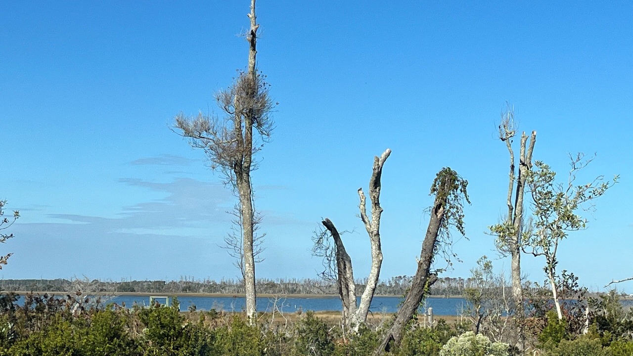 Photo of Others in Harkers Island