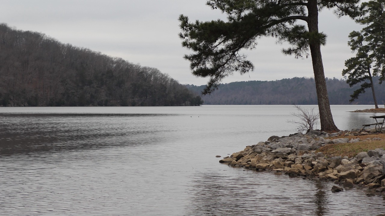 Photo of Outdoor in Guntersville