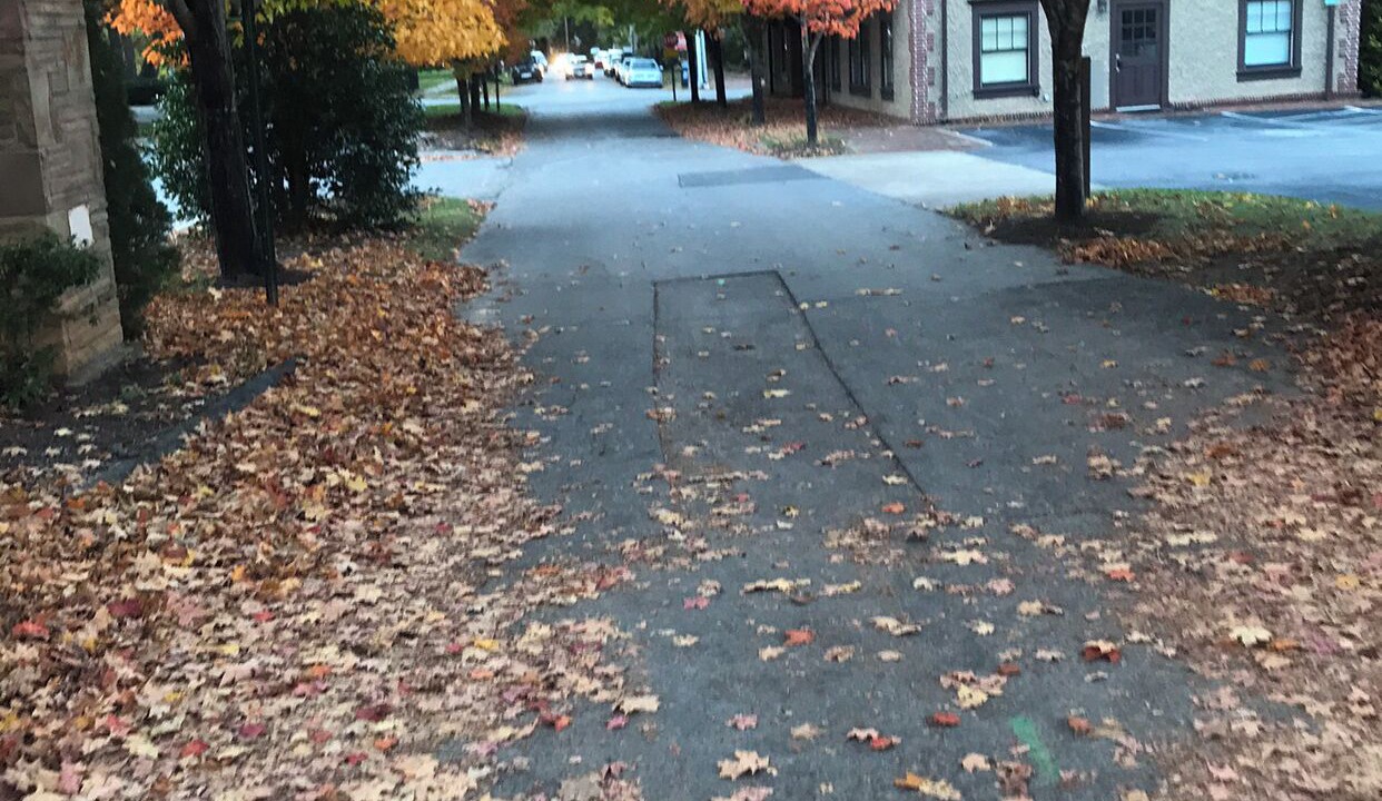 Photo of Others in Asheville