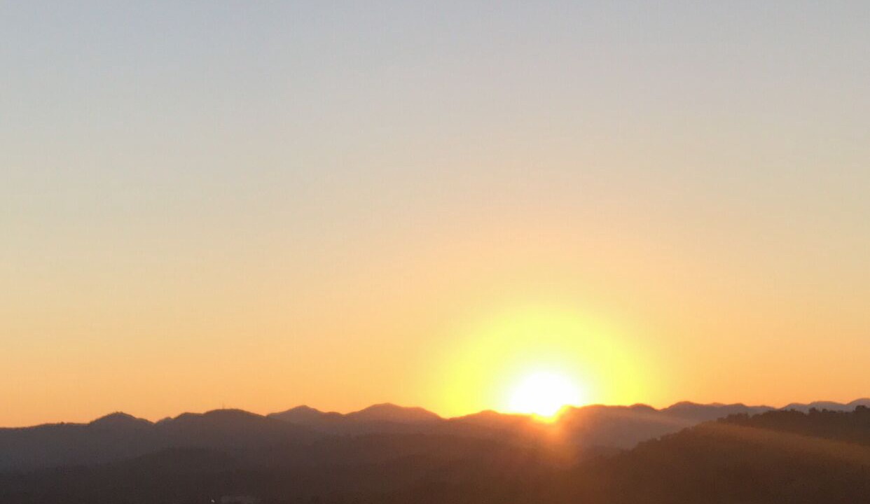 Photo of Others in Asheville