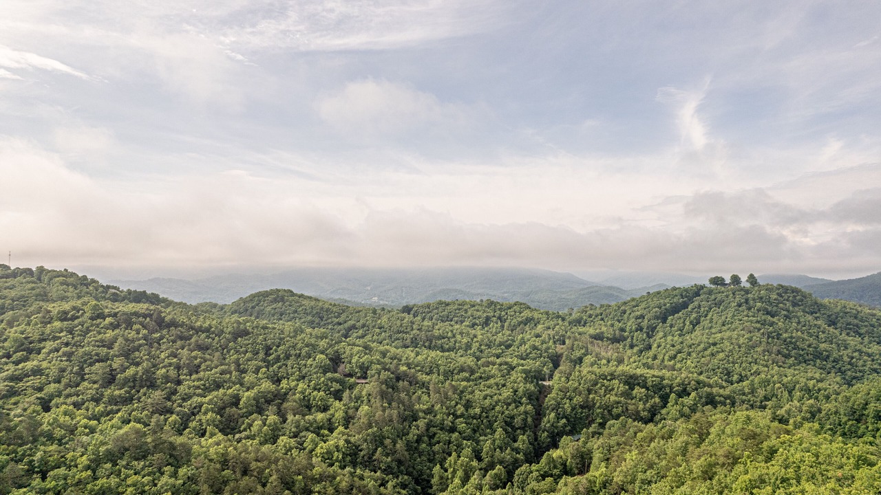 Photo of Others in Bryson City