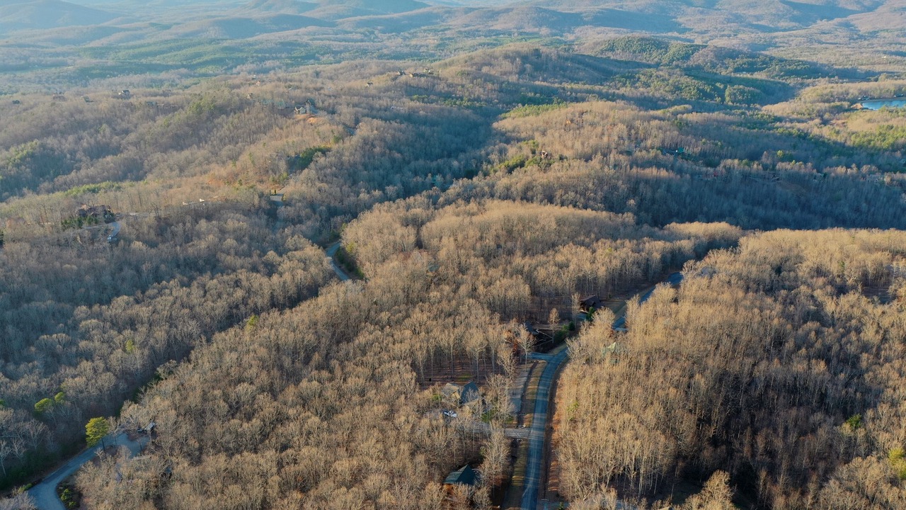 Photo of Others in Vein Mountain