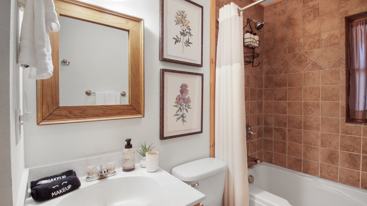 Photo of Bathroom in Vein Mountain