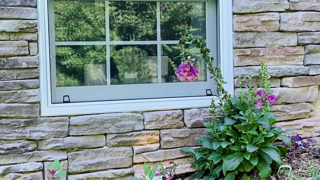 Photo of Outdoor in Canton
