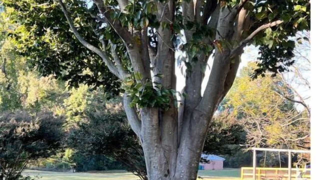 Photo of Outdoor in Charlotte