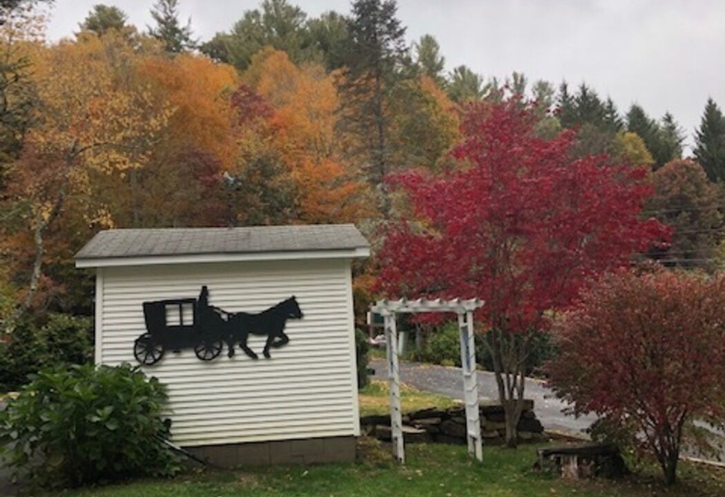 Photo of Outdoor in Newland