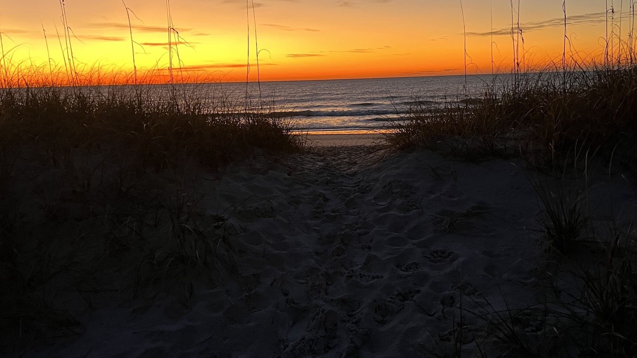 Photo of Others in Topsail Beach