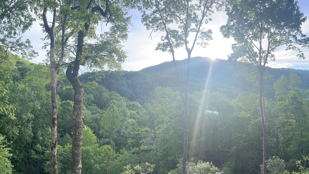 Photo of Outdoor in Topton