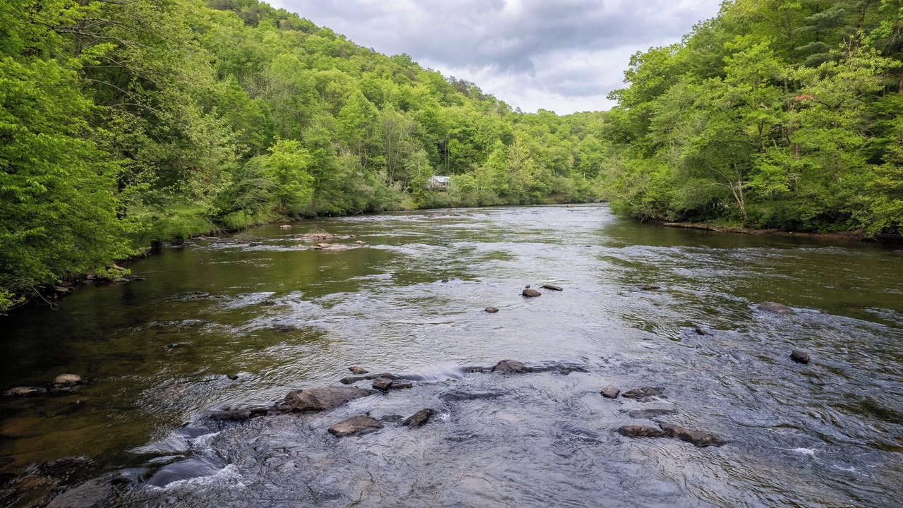 Photo of Others in Sylva