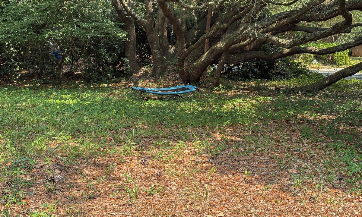 Photo of Others in Southern Shores