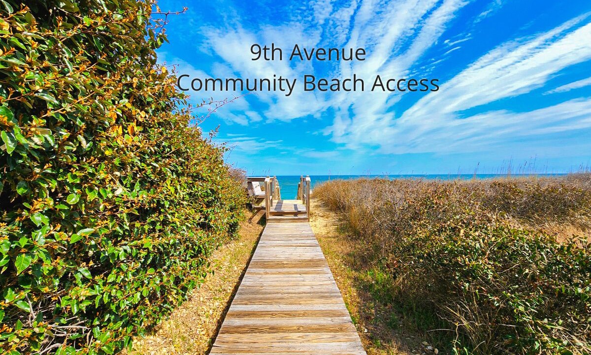Photo of Others in Southern Shores