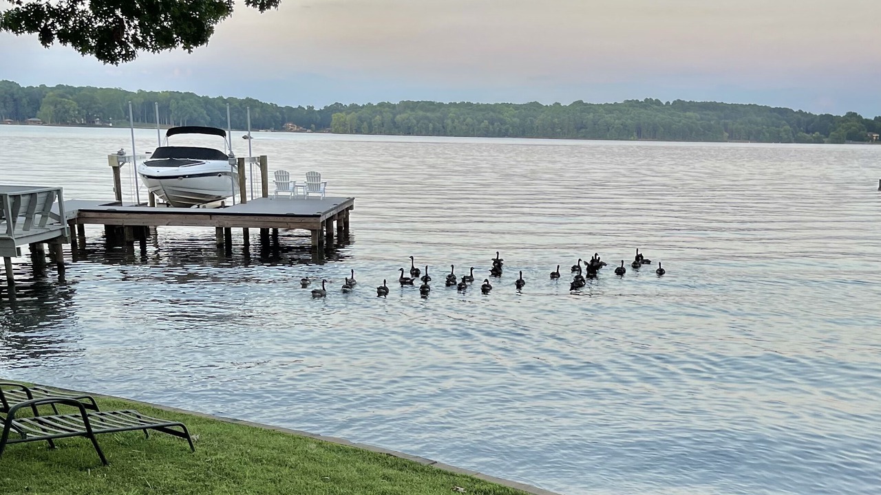 Photo of Outdoor in Terrell