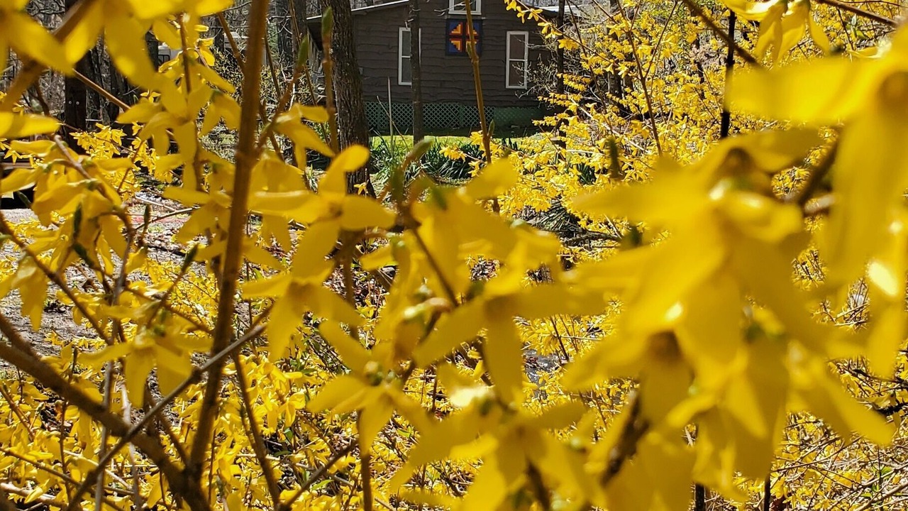 Photo of Outdoor in Crumpler