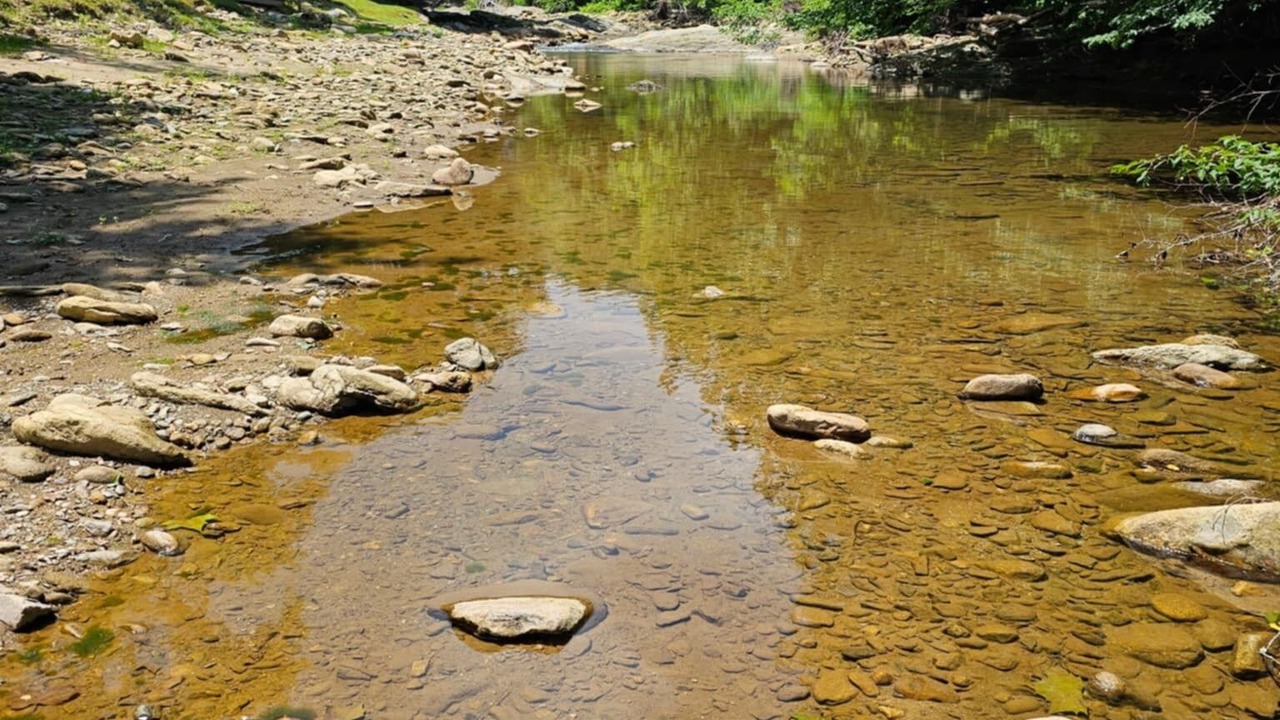 Photo of Others in Mill Ridge