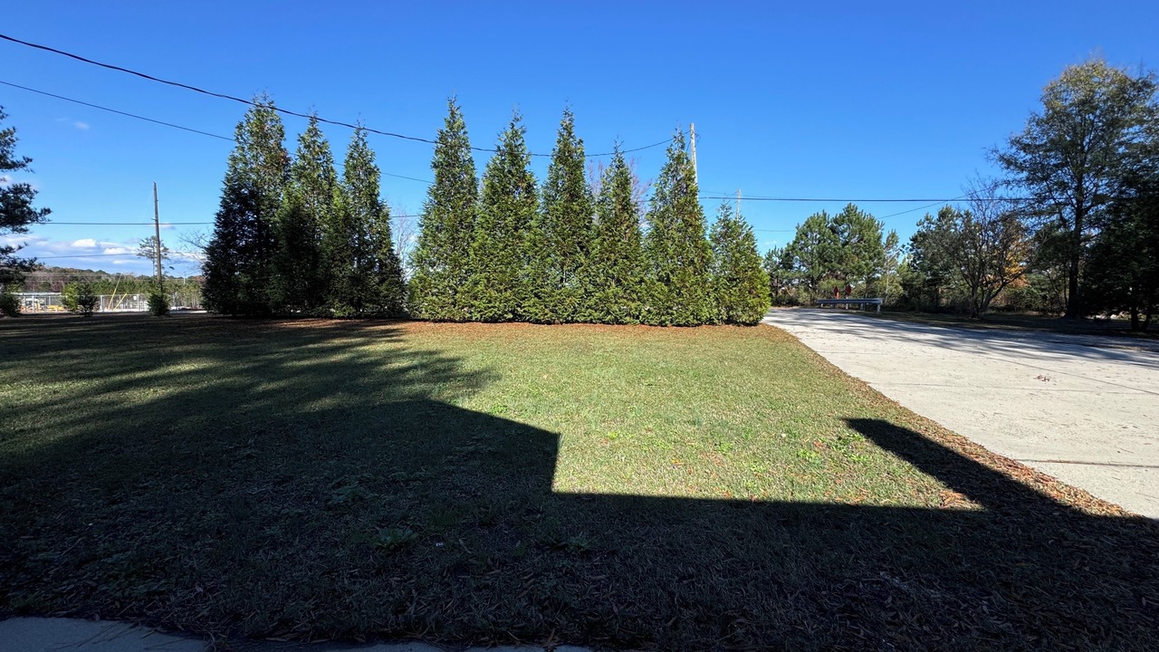 Photo of Outdoor in Apex