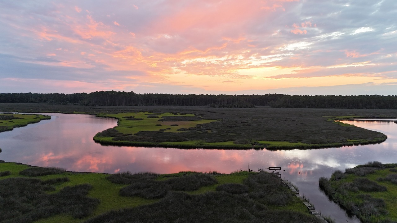 Photo of Others in Beaufort