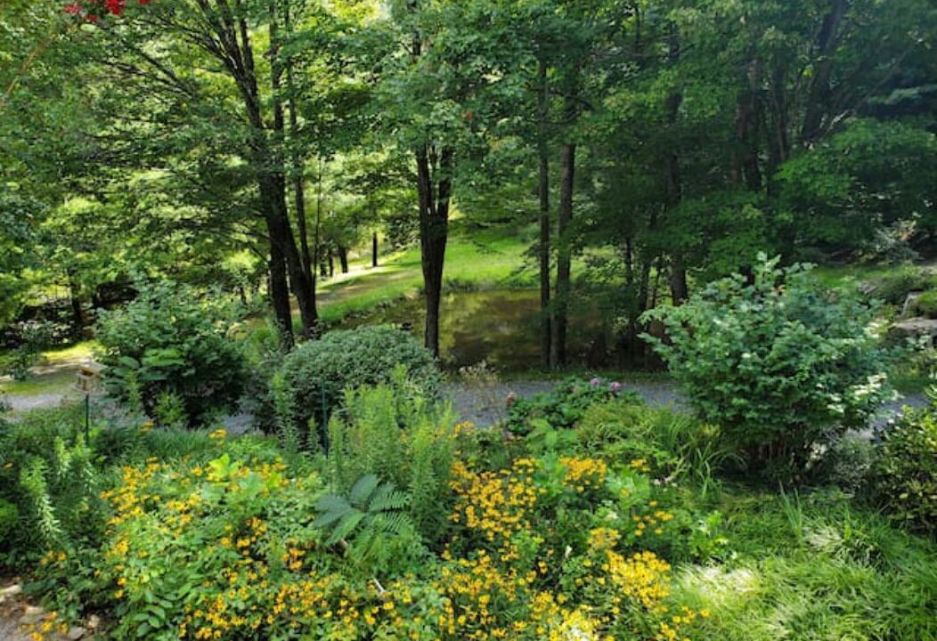 Photo of Outdoor in Waynesville