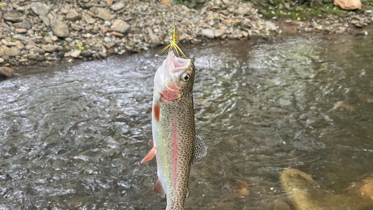 Photo of Others in Franklin