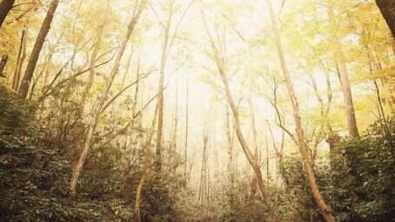 Photo of Others in Moravian Falls