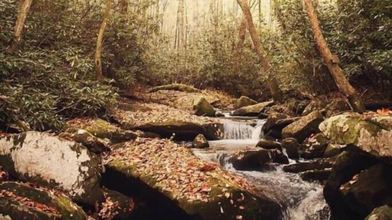 Photo of Others in Moravian Falls