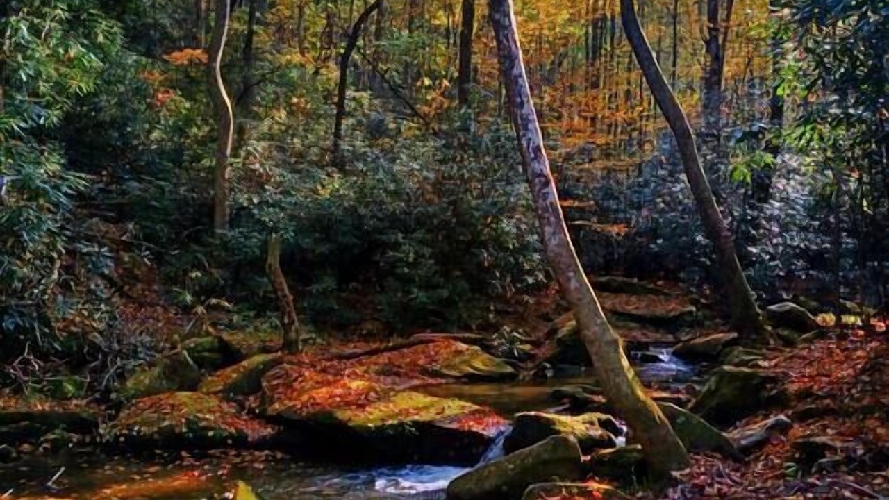 Photo of Others in Moravian Falls