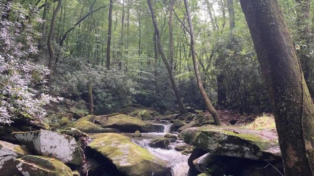 Photo of Others in Moravian Falls
