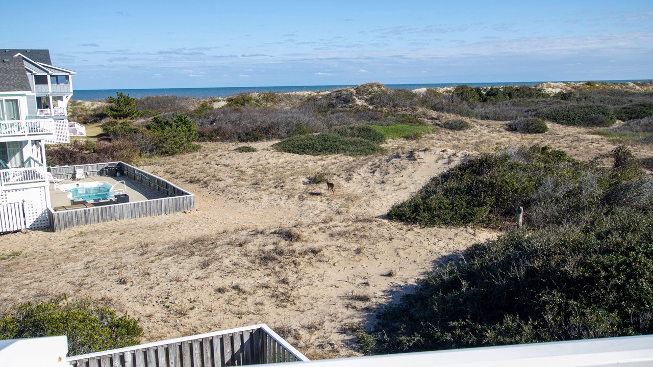 Photo of Outdoor in Ocean Sands