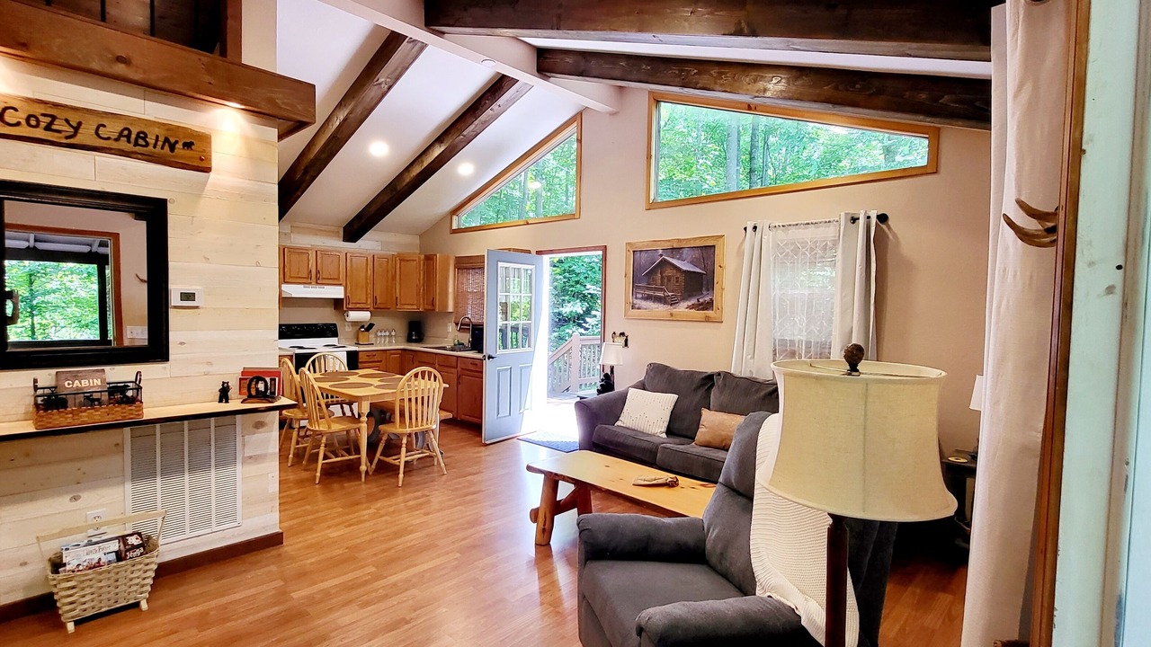 Photo of Livingroom in Sylva