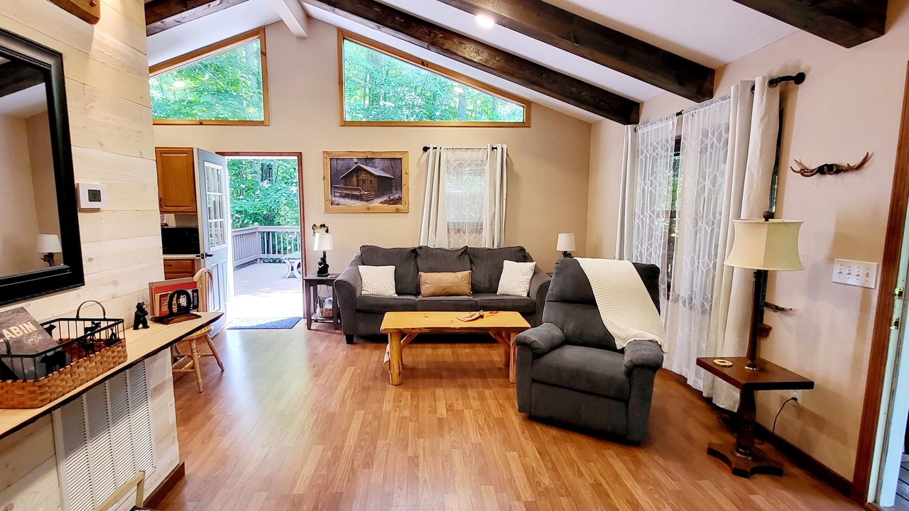 Photo of Livingroom in Sylva