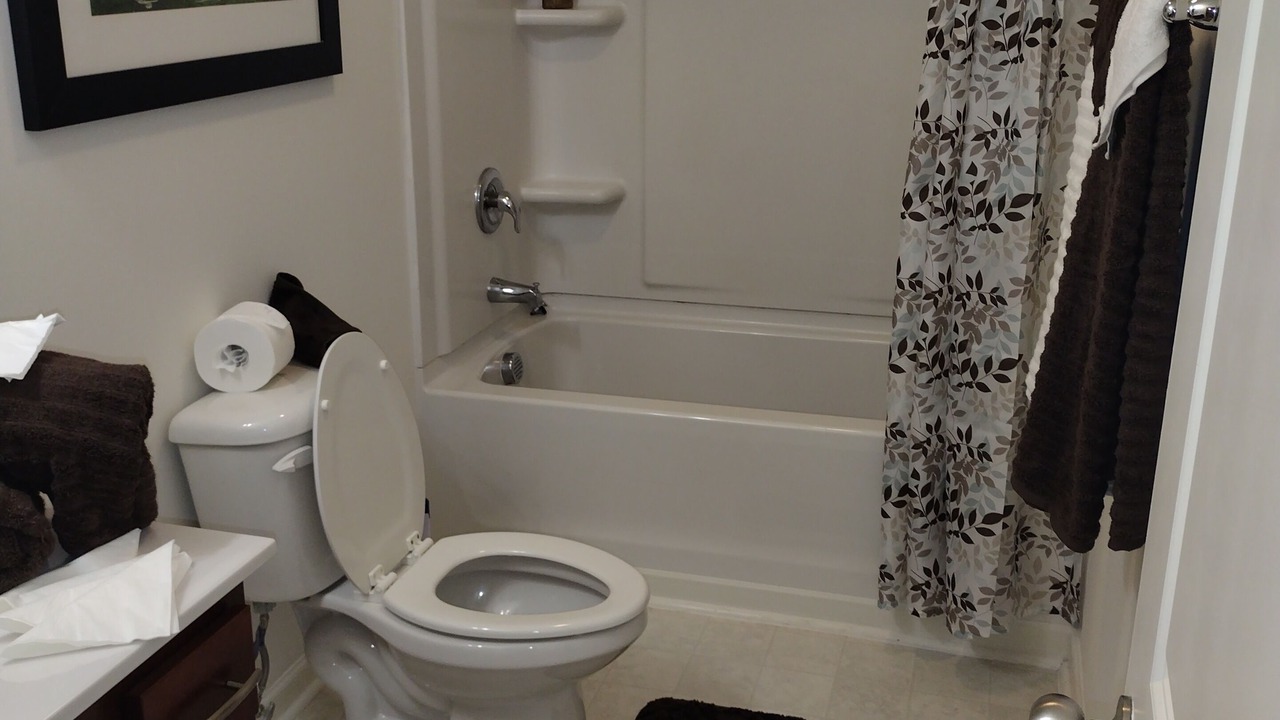 Photo of Bathroom in Winston - Salem