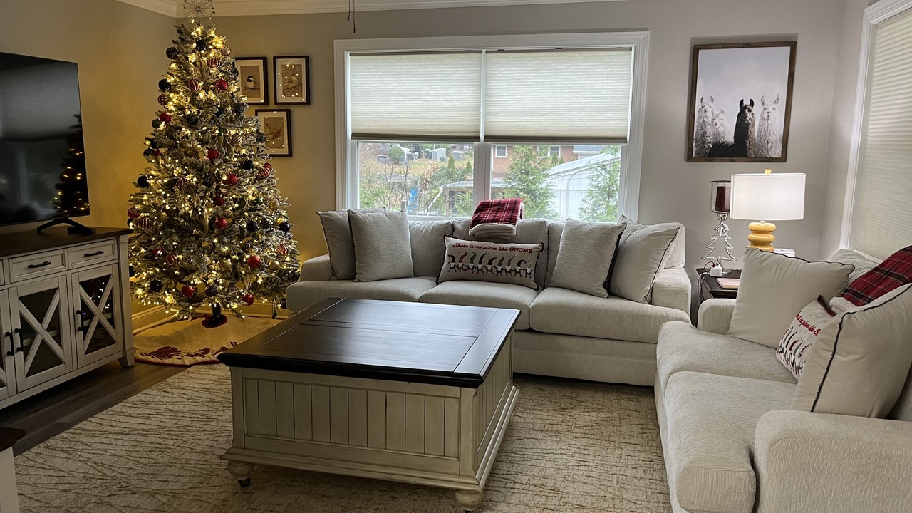 Photo of Livingroom in Northeast Raleigh