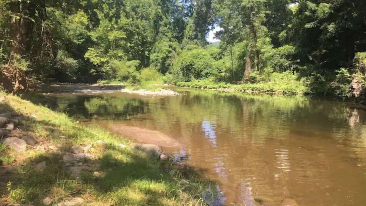 Photo of Others in Hot Springs